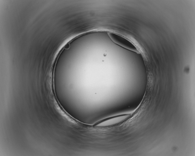 X0000099521100200805291206