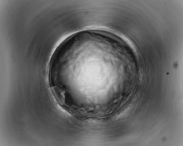 X0000099521102200805291206