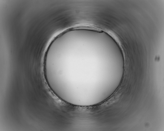 X0000099521104200805291206