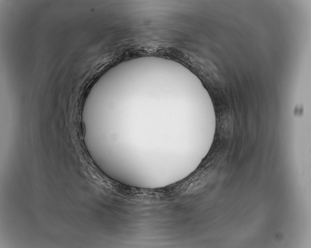 X0000099521105200805291205