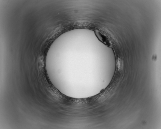 X0000099521107200805291205