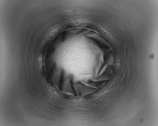 X0000099521108200805291205