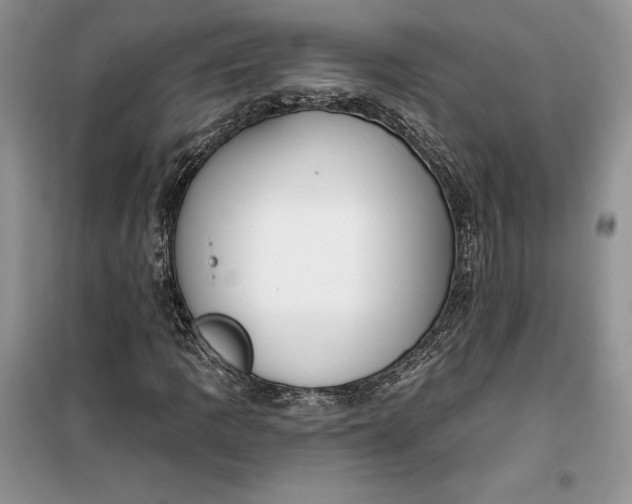 X0000099521109200805291205