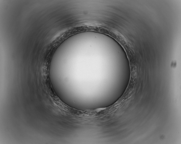 X0000099521110200805291205