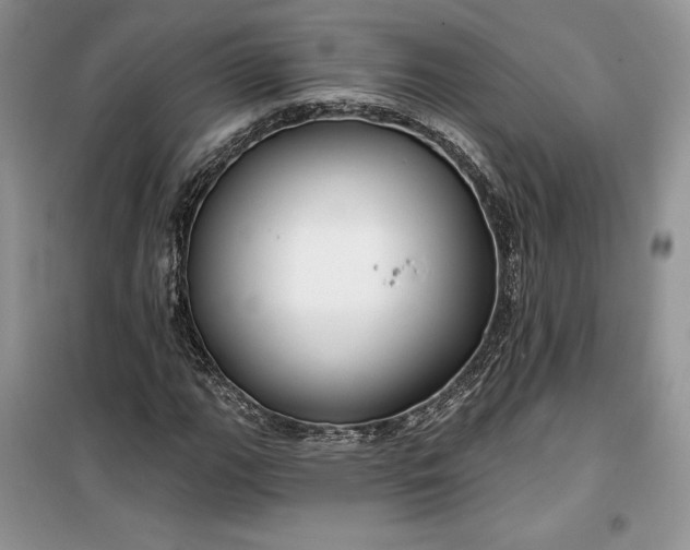 X0000099521111200805291205