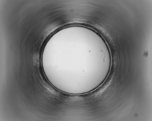 X0000099521113200805291205