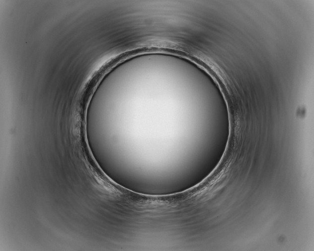 X0000099521115200805291205