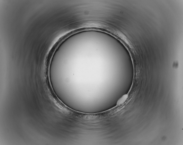 X0000099521116200805291205