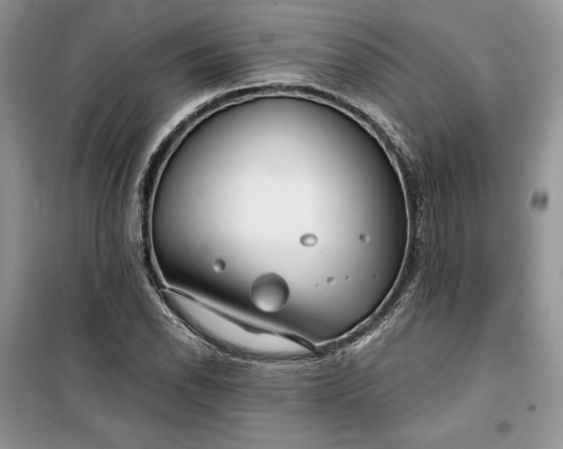 X0000099521118200805291205