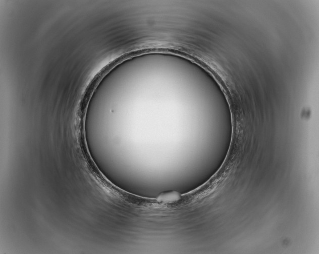 X0000099521119200805291205