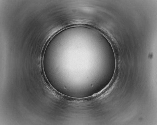 X0000099521121200805291205