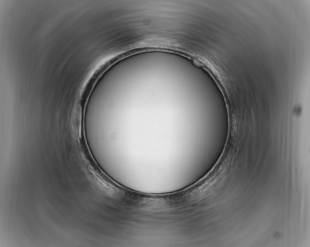 X0000099521123200805291205