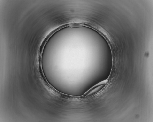 X0000099521124200805291205