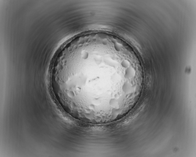 X0000099521125200805291205