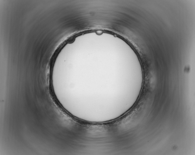 X0000099521126200805291205