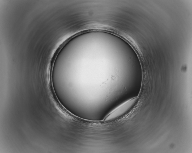 X0000099521128200805291205