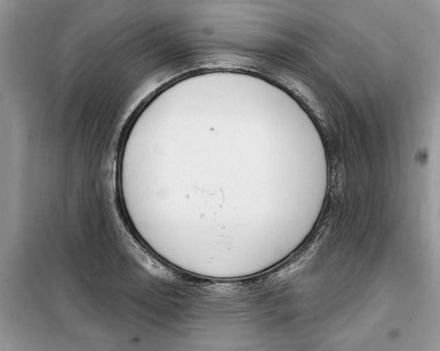 X0000099521130200805291205