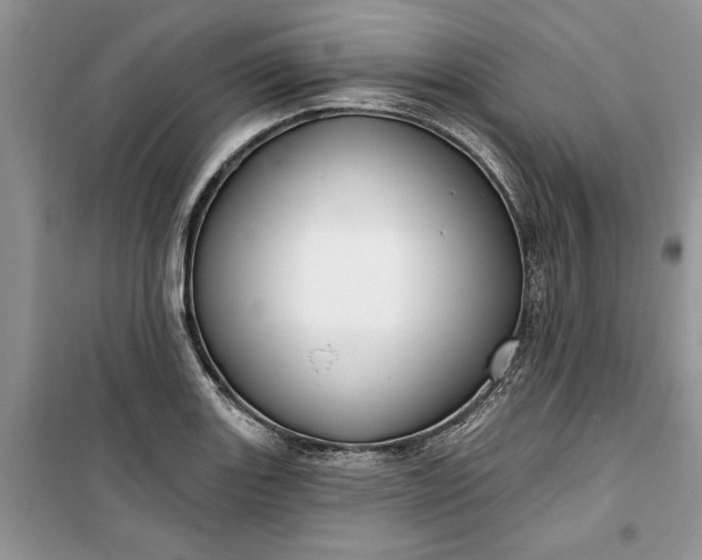 X0000099521131200805291205