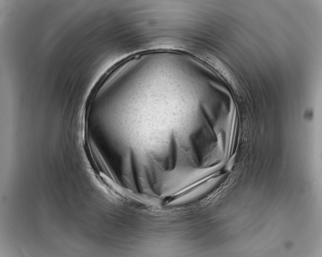 X0000099521132200805291205