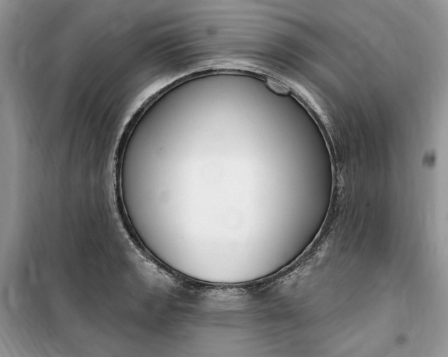 X0000099521133200805291205