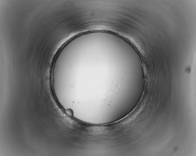 X0000099521134200805291205