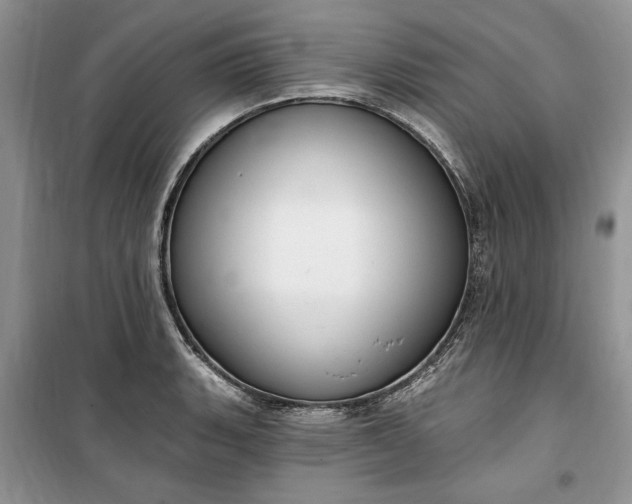 X0000099521135200805291206