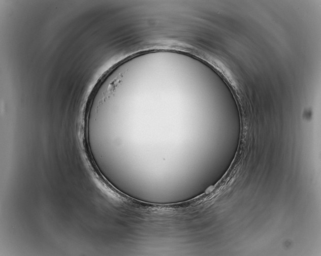 X0000099521136200805291206