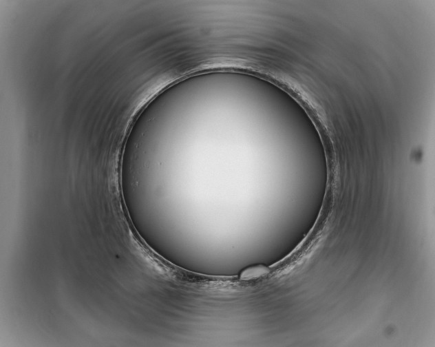 X0000099521137200805291206