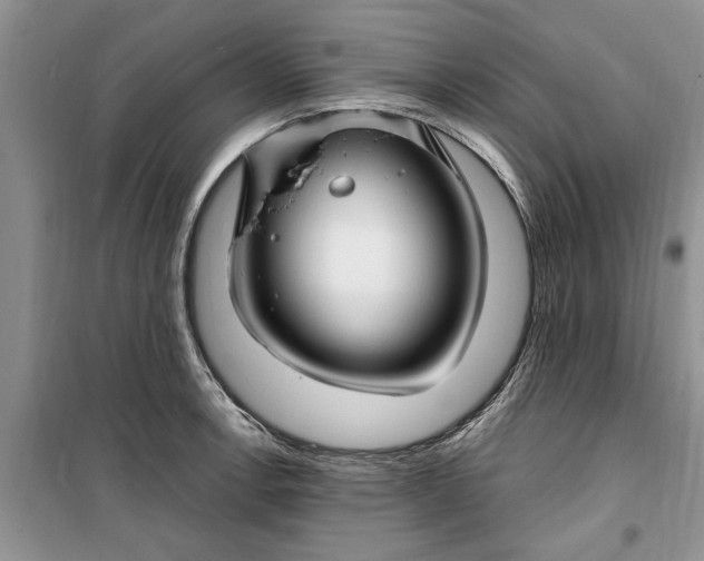 X0000099521138200805291206