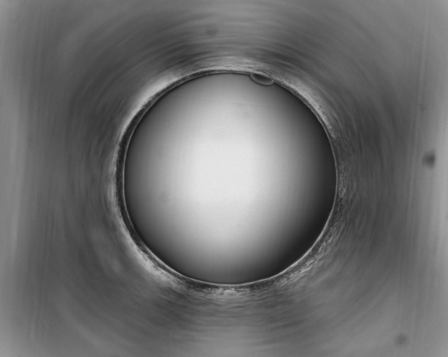 X0000099521139200805291206