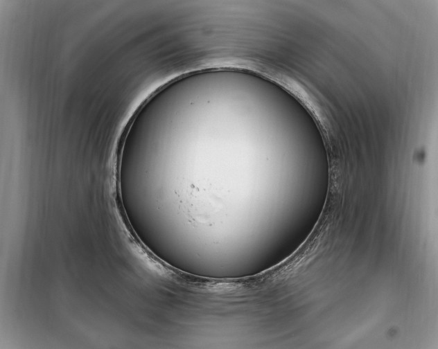 X0000099521140200805291206