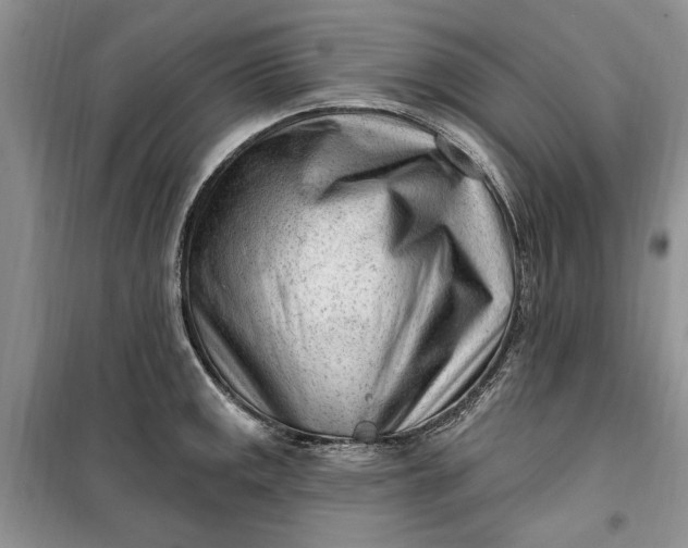 X0000099521141200805291206