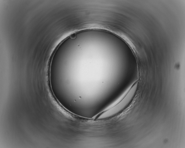 X0000099521142200805291206