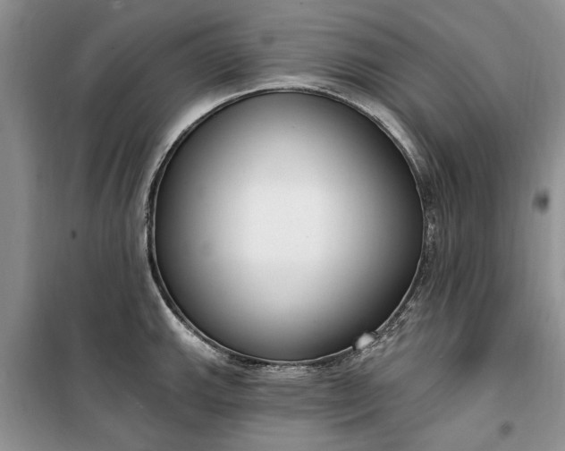 X0000099521143200805291206