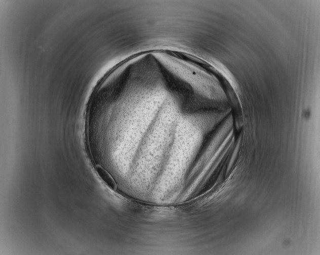 X0000099521144200805291206