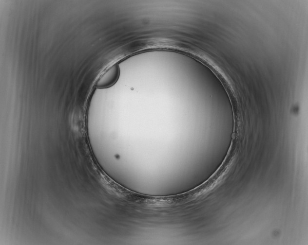 X0000099521145200805291206