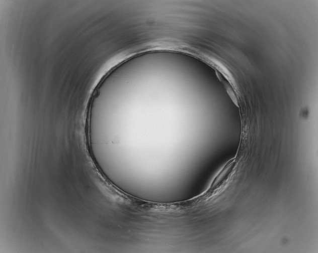 X0000099521146200805291206