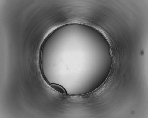 X0000099521147200805291206