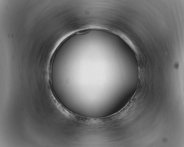 X0000099521148200805291206