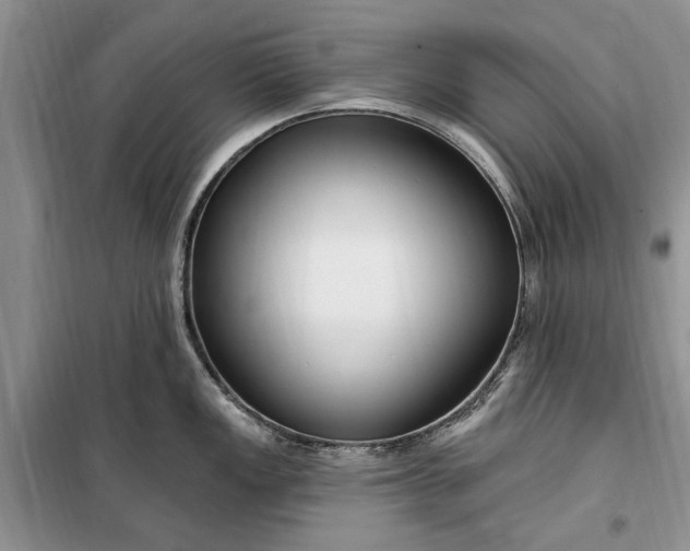 X0000099521149200805291206