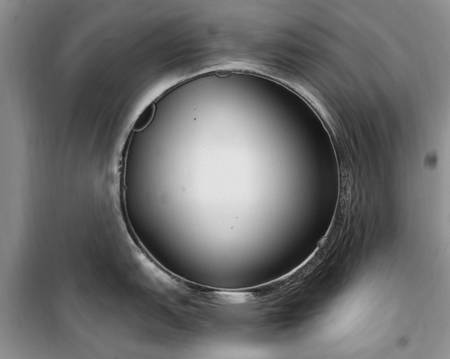 X0000099521151200805291206