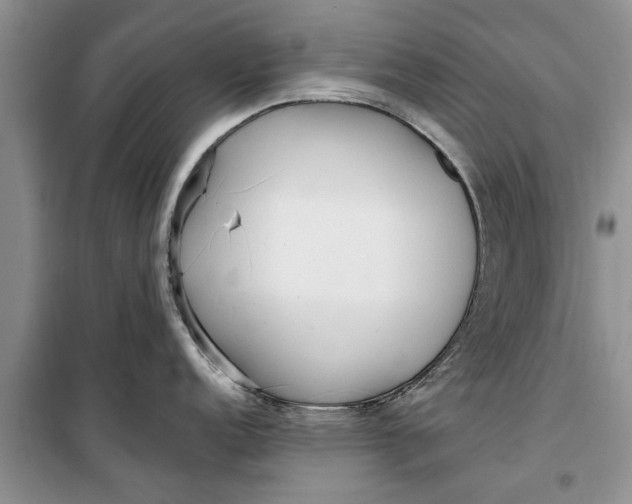 X0000099521152200805291206