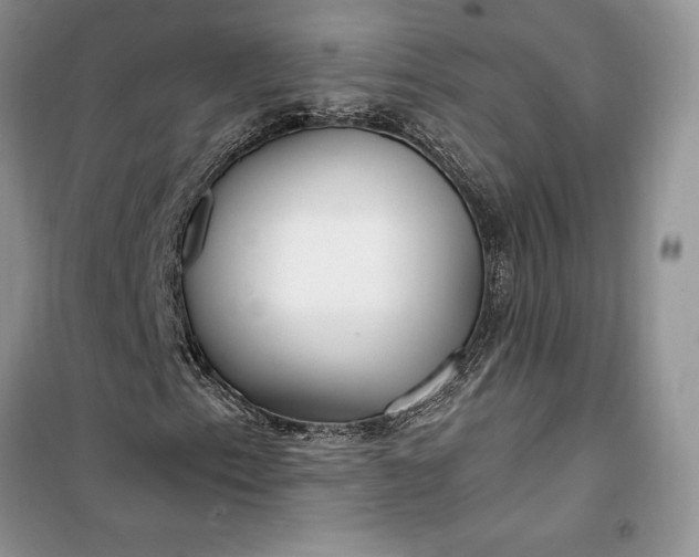 X0000099521153200805291205