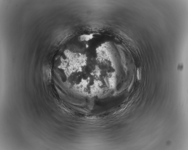 X0000099521155200805291205