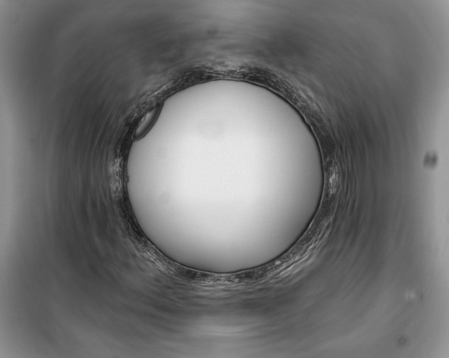 X0000099521156200805291205