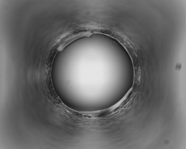 X0000099521157200805291205