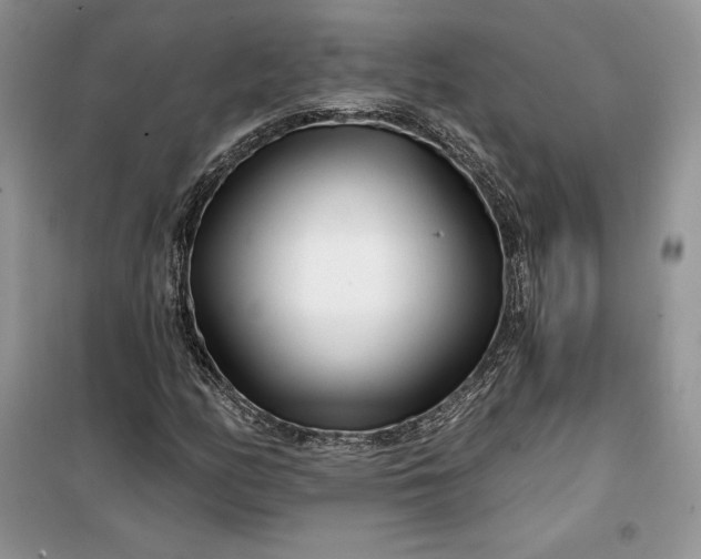 X0000099521158200805291205