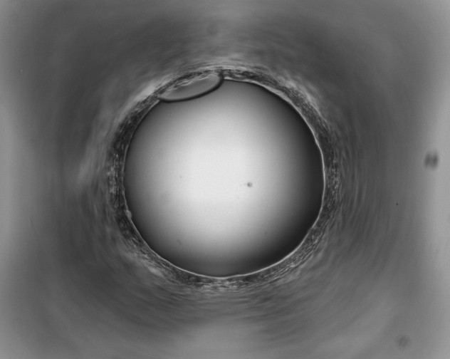 X0000099521159200805291205