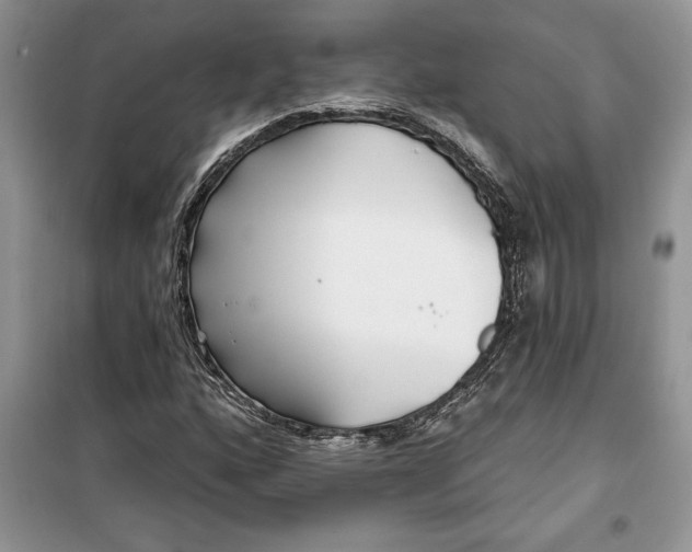 X0000099521160200805291205