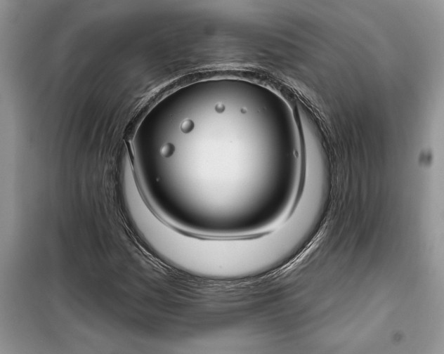 X0000099521161200805291205